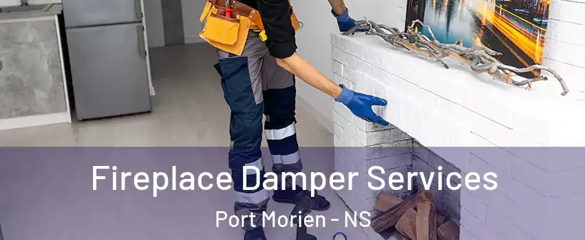 Fireplace Damper Services Port Morien - NS