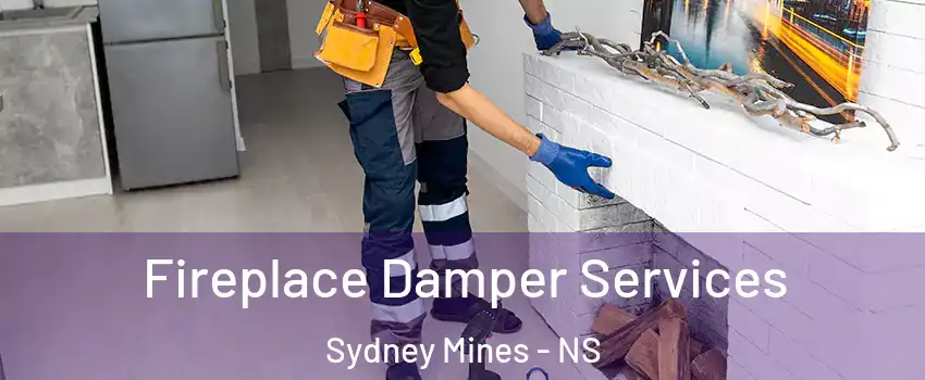 Fireplace Damper Services Sydney Mines - NS