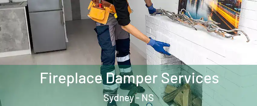  Fireplace Damper Services Sydney - NS