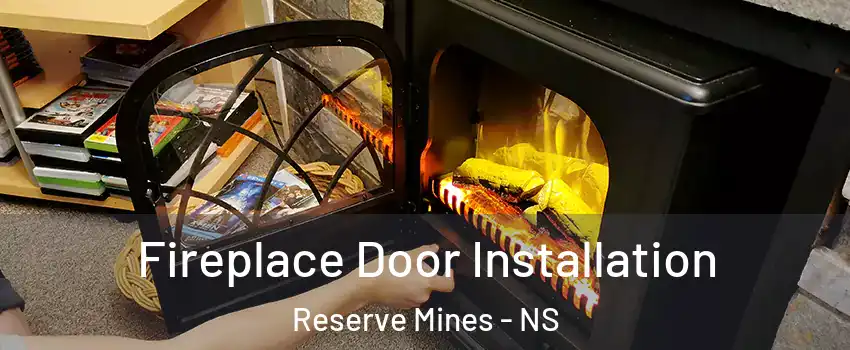  Fireplace Door Installation Reserve Mines - NS