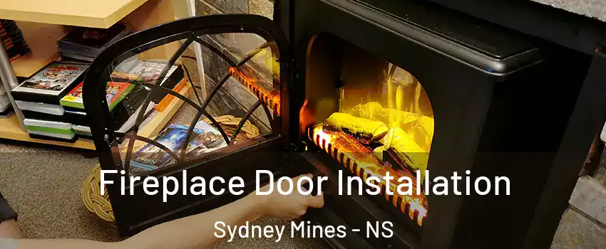  Fireplace Door Installation Sydney Mines - NS