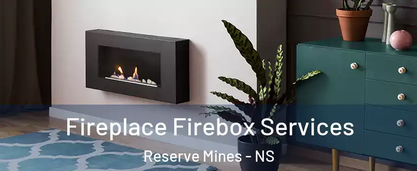 Fireplace Firebox Services Reserve Mines - NS