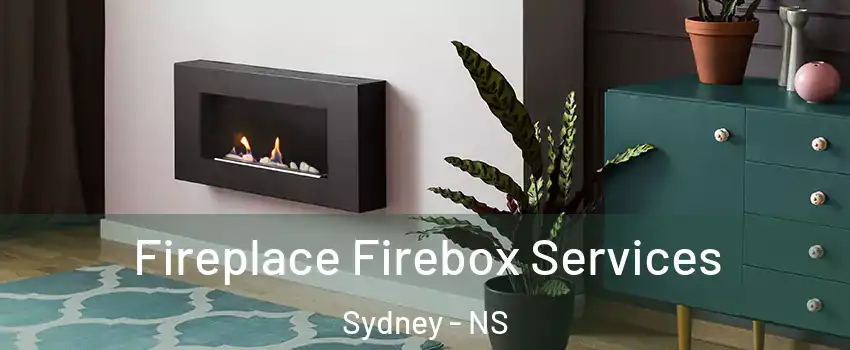  Fireplace Firebox Services Sydney - NS