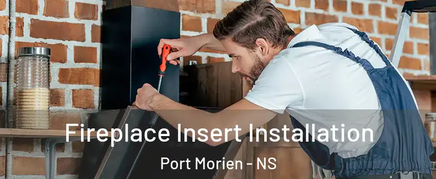  Fireplace Insert Installation Port Morien - NS