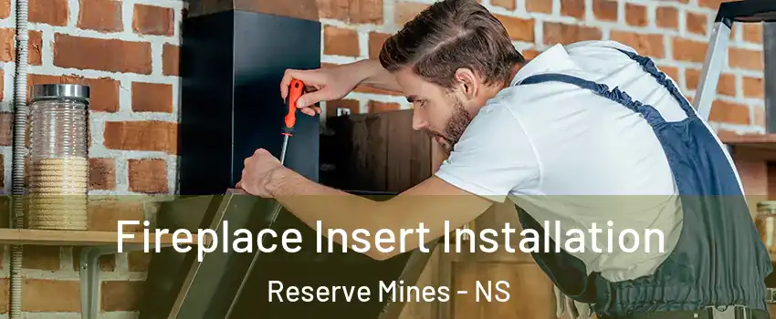  Fireplace Insert Installation Reserve Mines - NS