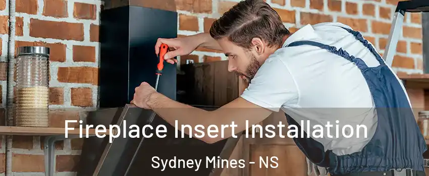  Fireplace Insert Installation Sydney Mines - NS