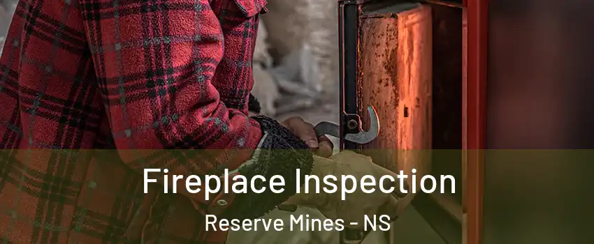  Fireplace Inspection Reserve Mines - NS