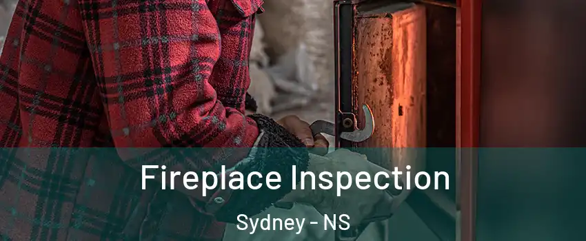 Fireplace Inspection Sydney - NS