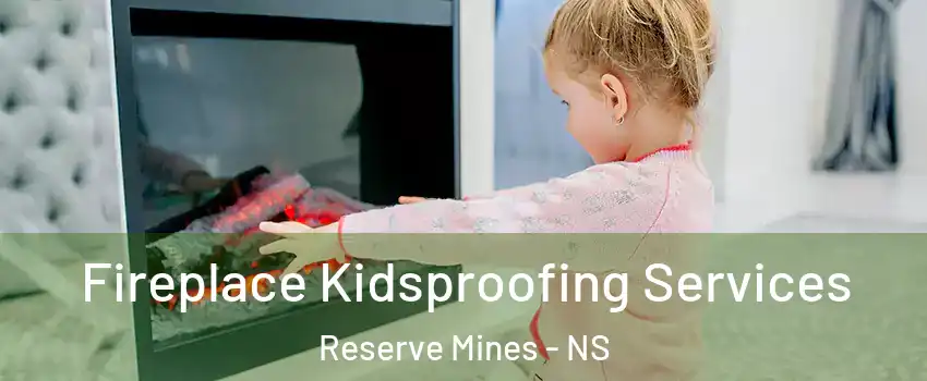  Fireplace Kidsproofing Services Reserve Mines - NS