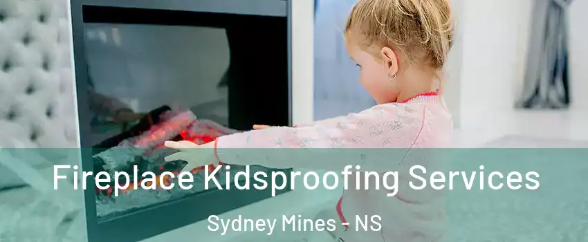  Fireplace Kidsproofing Services Sydney Mines - NS