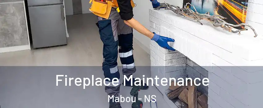  Fireplace Maintenance Mabou - NS