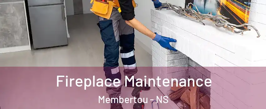  Fireplace Maintenance Membertou - NS