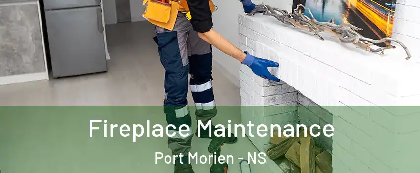  Fireplace Maintenance Port Morien - NS