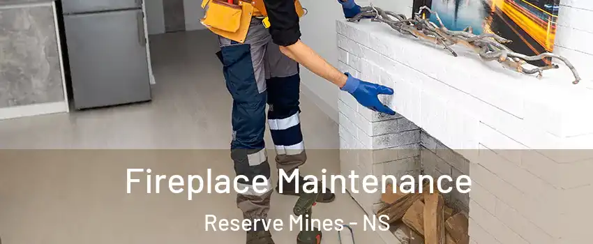  Fireplace Maintenance Reserve Mines - NS