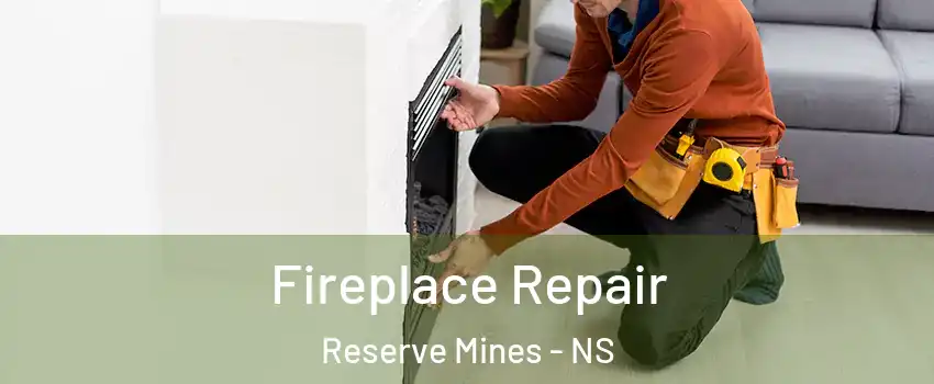  Fireplace Repair Reserve Mines - NS