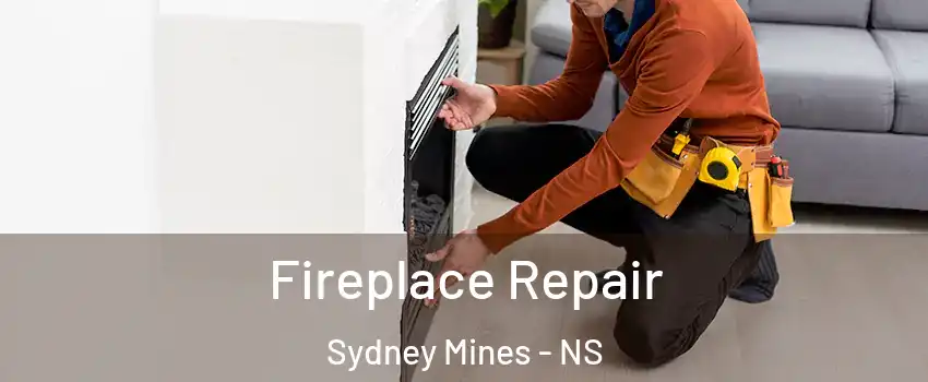  Fireplace Repair Sydney Mines - NS