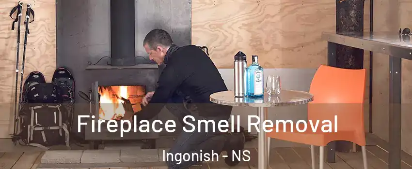 Fireplace Smell Removal Ingonish - NS