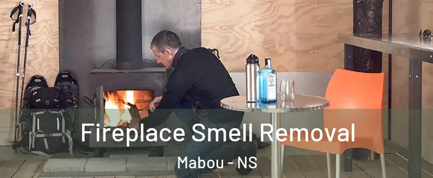  Fireplace Smell Removal Mabou - NS