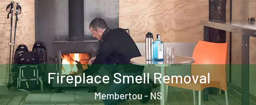  Fireplace Smell Removal Membertou - NS