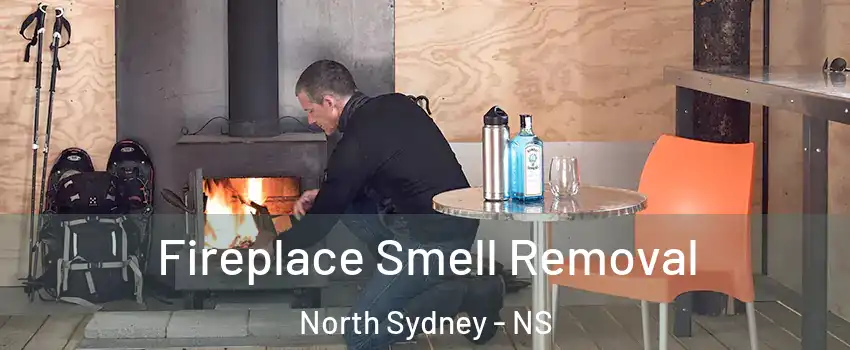  Fireplace Smell Removal North Sydney - NS