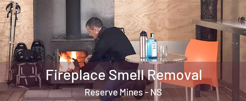  Fireplace Smell Removal Reserve Mines - NS