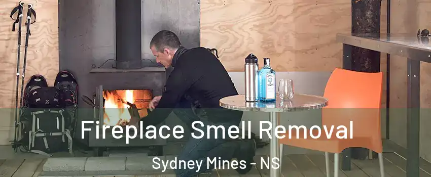  Fireplace Smell Removal Sydney Mines - NS