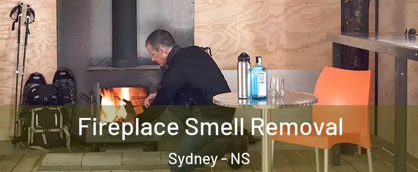  Fireplace Smell Removal Sydney - NS