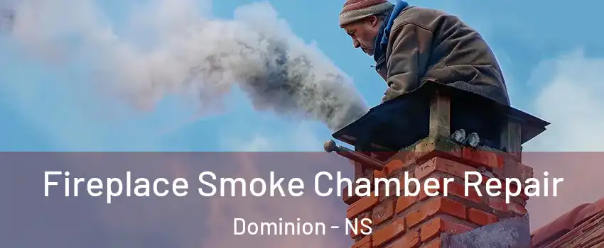  Fireplace Smoke Chamber Repair Dominion - NS
