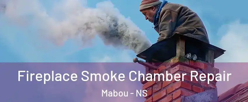  Fireplace Smoke Chamber Repair Mabou - NS