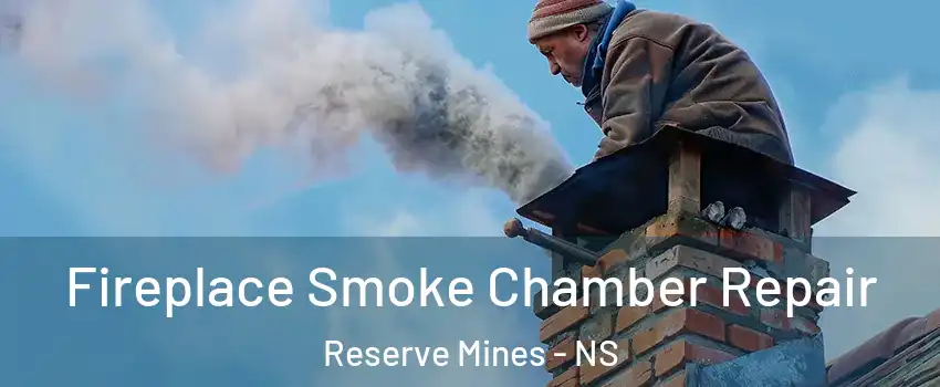  Fireplace Smoke Chamber Repair Reserve Mines - NS