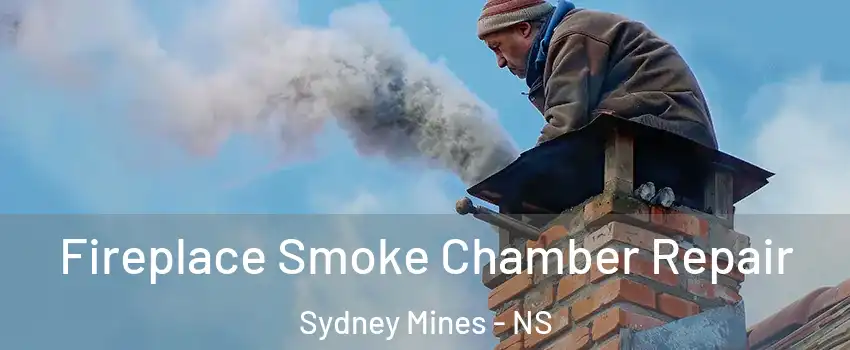  Fireplace Smoke Chamber Repair Sydney Mines - NS