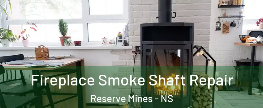  Fireplace Smoke Shaft Repair Reserve Mines - NS