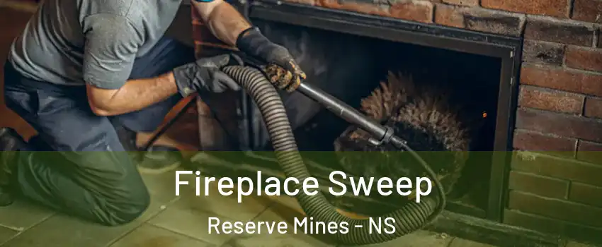  Fireplace Sweep Reserve Mines - NS