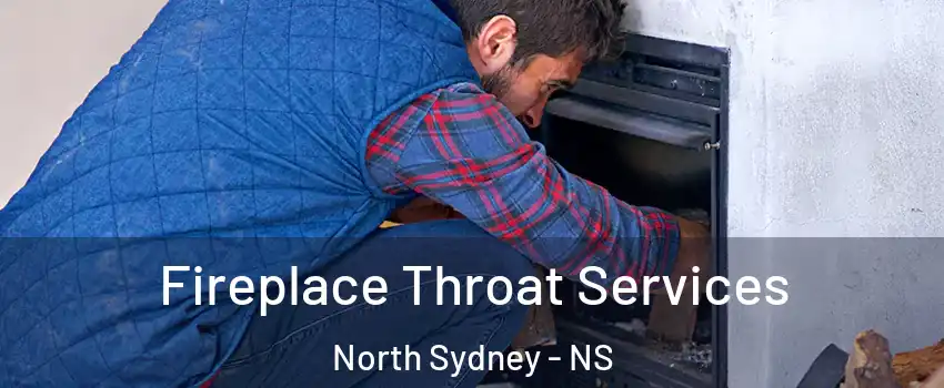  Fireplace Throat Services North Sydney - NS