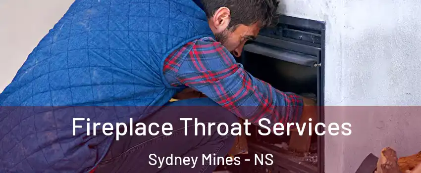  Fireplace Throat Services Sydney Mines - NS