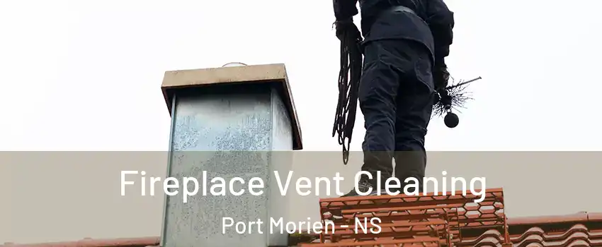  Fireplace Vent Cleaning Port Morien - NS