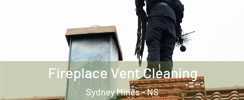  Fireplace Vent Cleaning Sydney Mines - NS