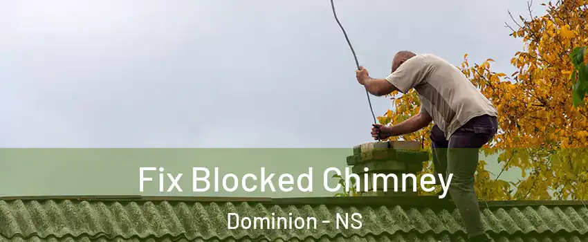  Fix Blocked Chimney Dominion - NS