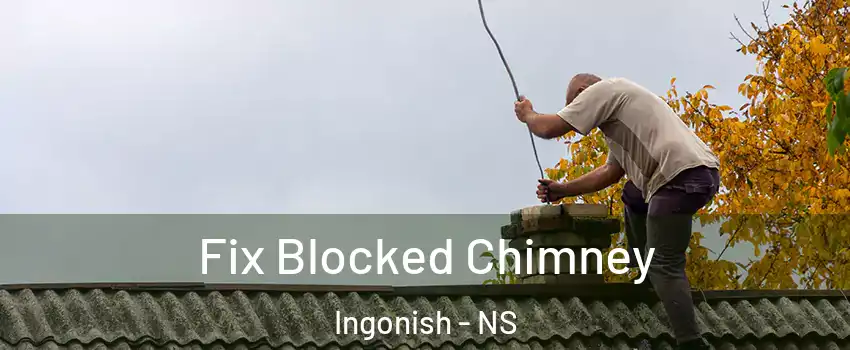  Fix Blocked Chimney Ingonish - NS