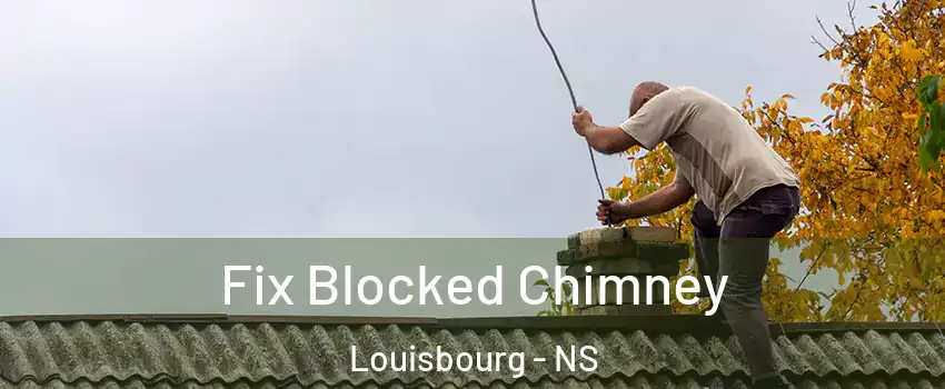  Fix Blocked Chimney Louisbourg - NS