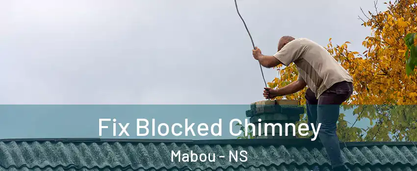  Fix Blocked Chimney Mabou - NS