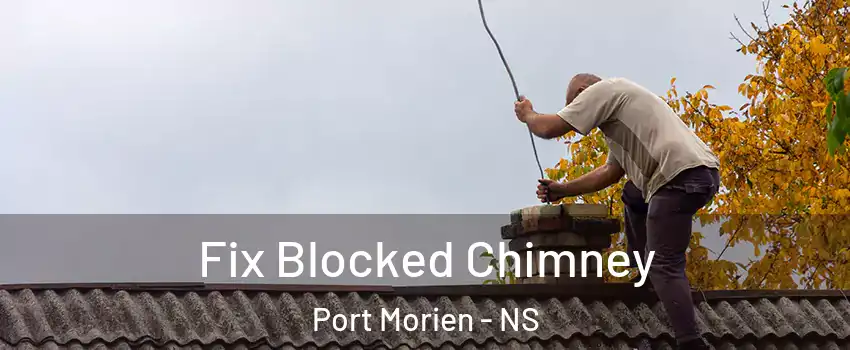  Fix Blocked Chimney Port Morien - NS