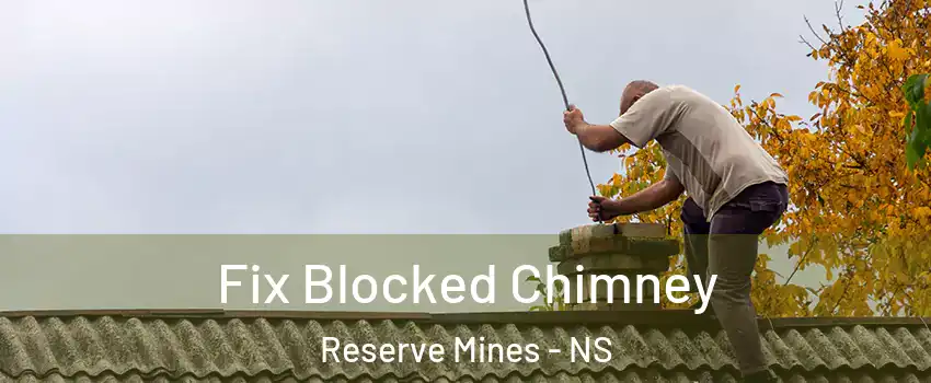  Fix Blocked Chimney Reserve Mines - NS