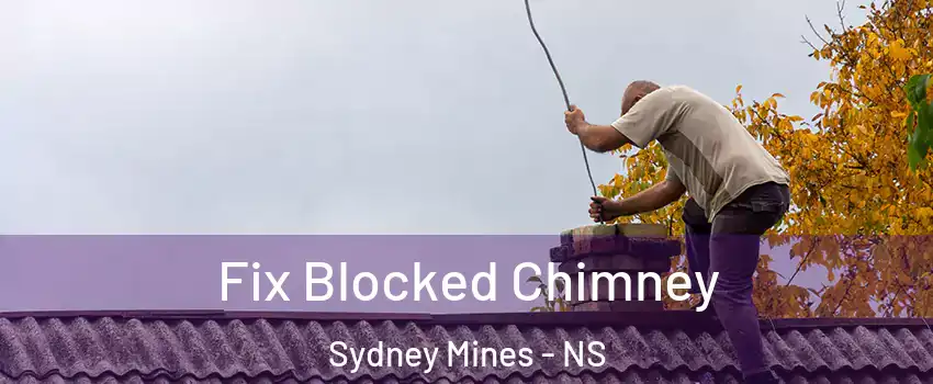  Fix Blocked Chimney Sydney Mines - NS