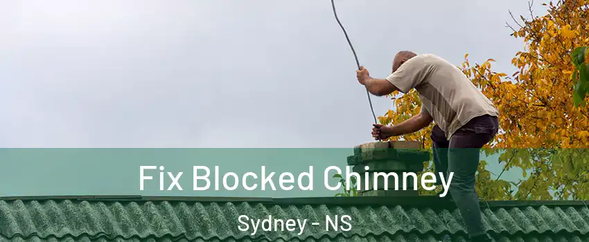  Fix Blocked Chimney Sydney - NS