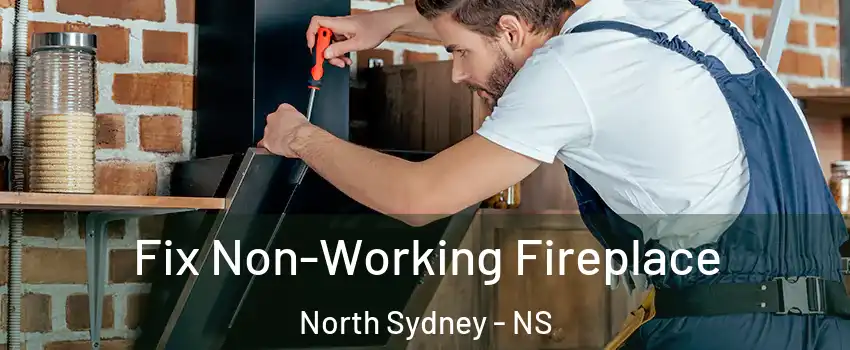  Fix Non-Working Fireplace North Sydney - NS