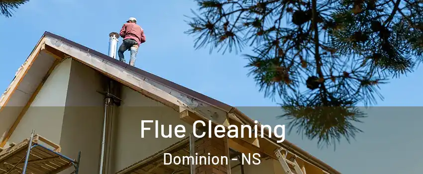  Flue Cleaning Dominion - NS