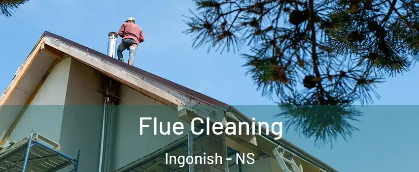  Flue Cleaning Ingonish - NS