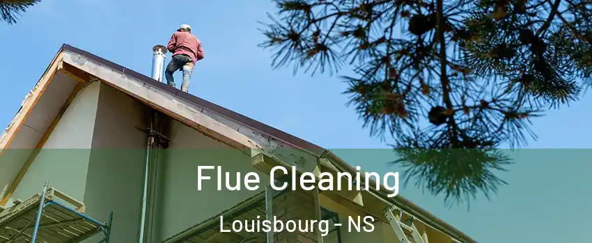  Flue Cleaning Louisbourg - NS