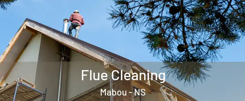  Flue Cleaning Mabou - NS